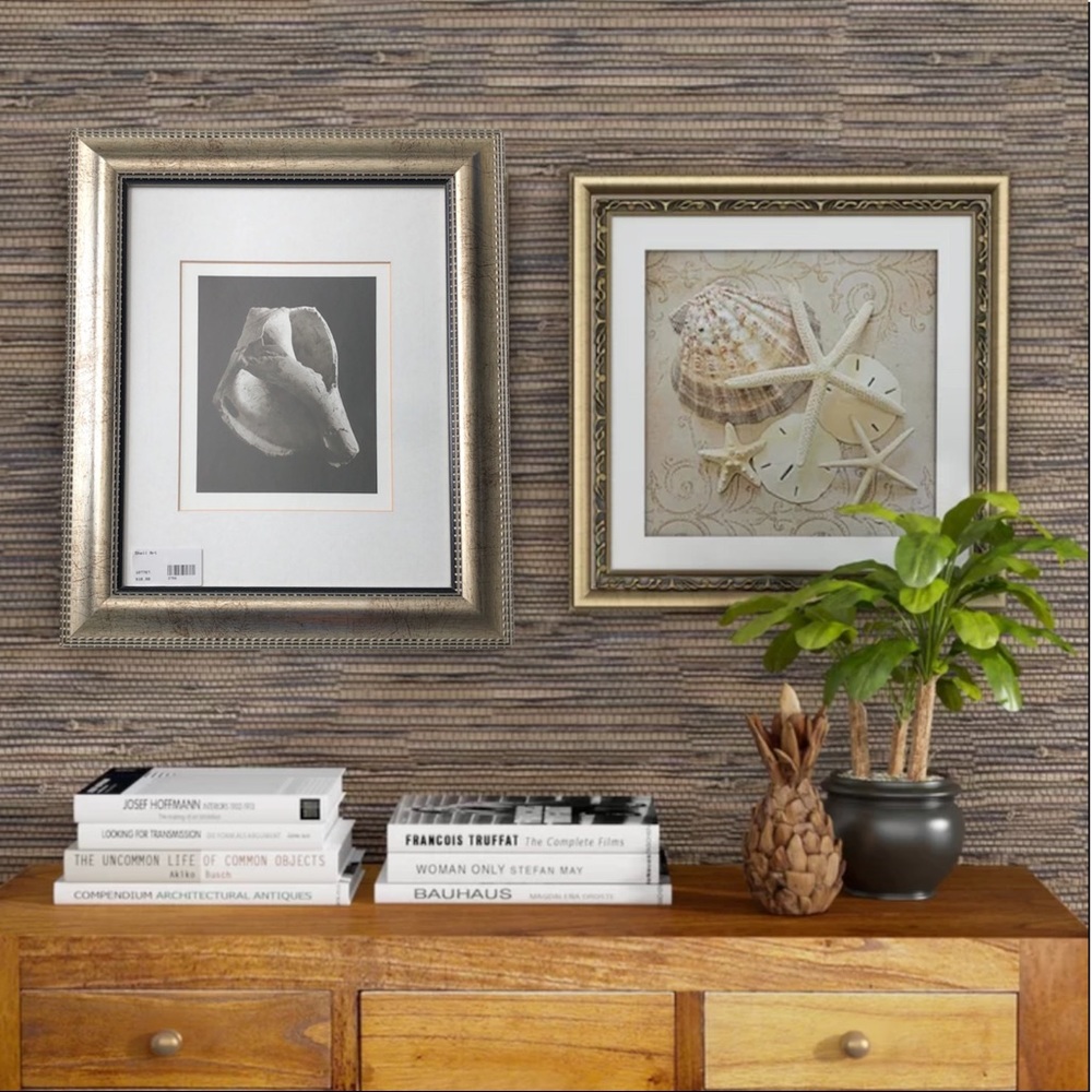 Wampler Seashell Artwork